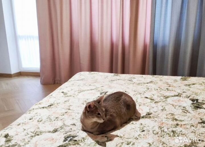 Шторы на заказ