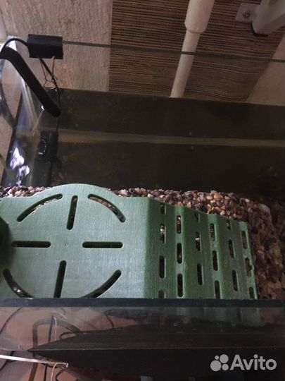 Акватеррариум+Отдам Тумбу+Новые Комплектующие