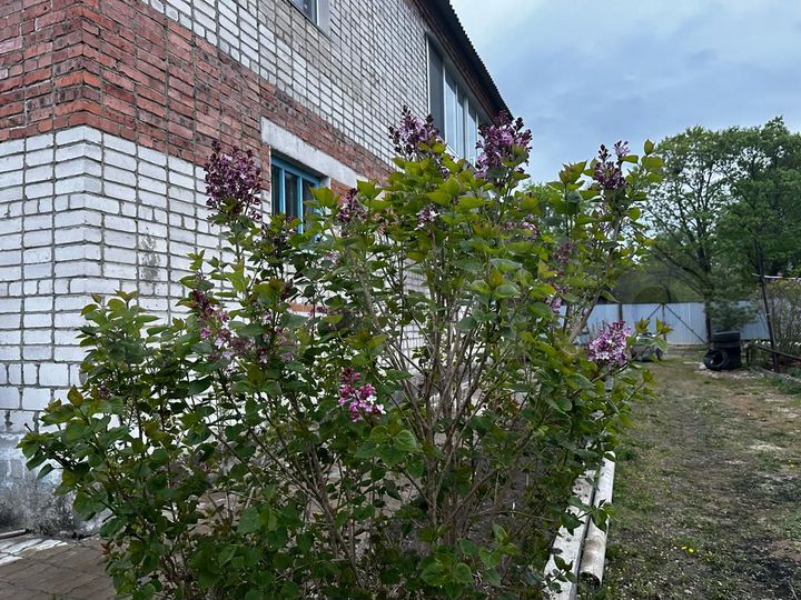 Коттедж 254,8 м² на участке 19 сот.