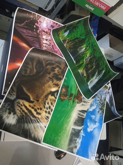 Лазерный цветной принтер HP 5225 Формат А3гарантия