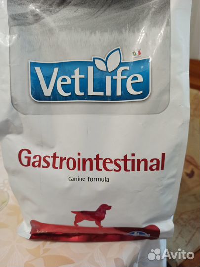 Лечебный корм для собак с проблемами жкт