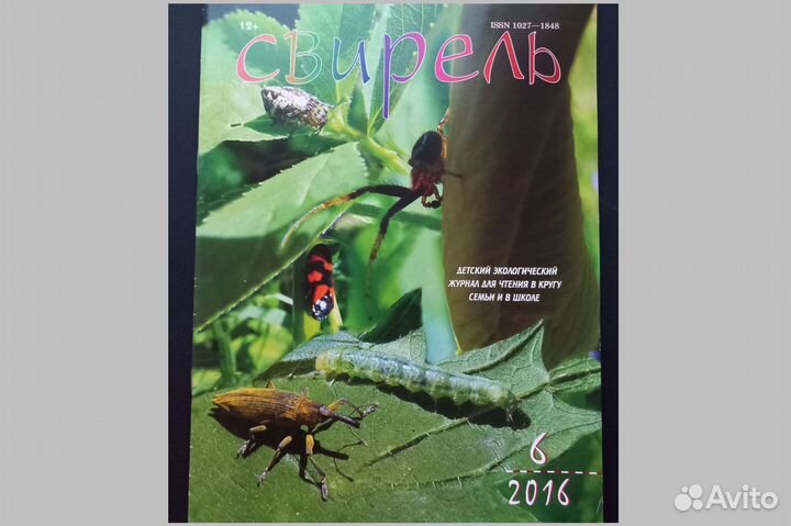 Детские журналы для школьников