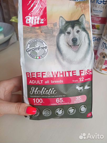 Сухой корм Беззерновой blitz holistic