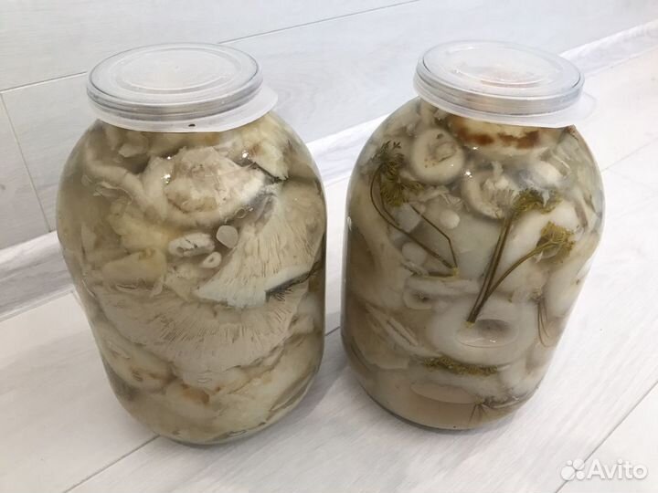 Грибы грузди белые соленые