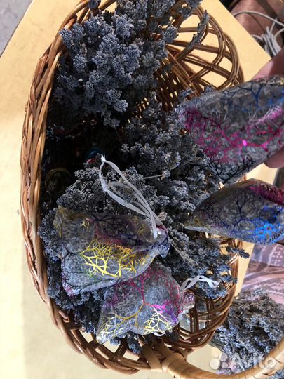 Саше крымская лаванда