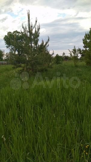 Участок 16,4 сот. (ИЖС)