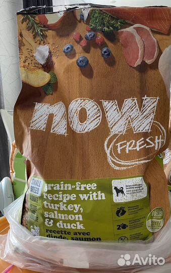 Сухой корм для собак now