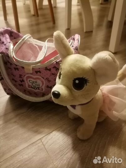 Собака Чичи love