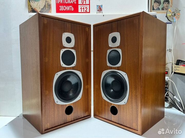 Castle Conway II Акустика England