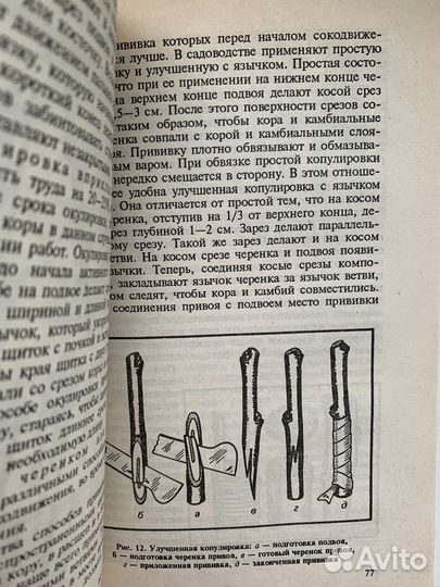 Как вырастить сад 1997 г. Книги дачникам