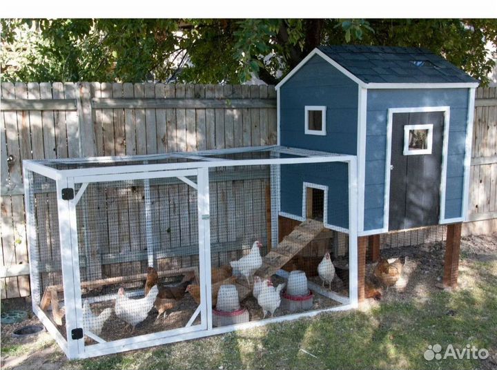 Курятник, вольер