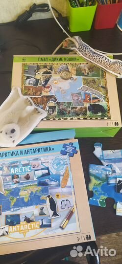 Настольные игры