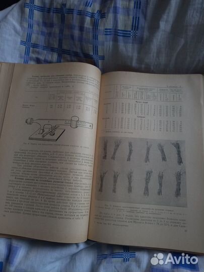 Виноградарство