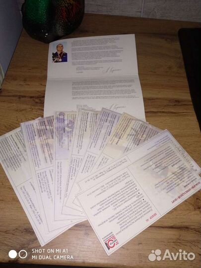 Новосибирск. Спорт. Новосибирск