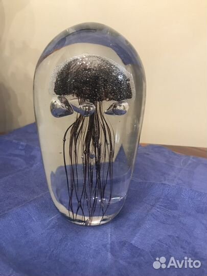 Медуза в стекле