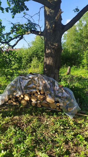 Участок 13 сот. (ИЖС)