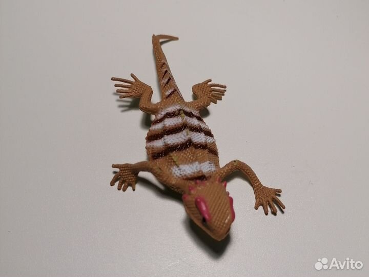 Геккон бананоед