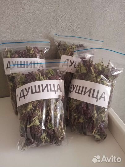 Душица, травяной чай, сбор, фиточай, север омс.обл