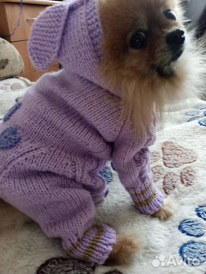 Комбинезоны для собак