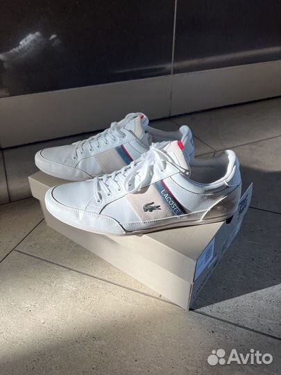 Lacoste кеды мужские (оригинал)