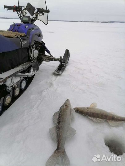 Снегоход