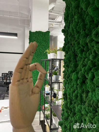 Вертикальное озеленение мхом