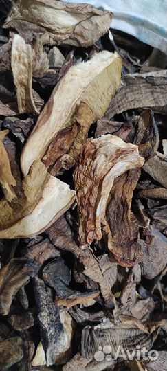 Сушеные грибы