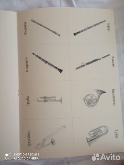 Книга по музыке. Музыкальные инструменты