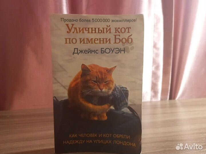 Уличный кот по имени боб