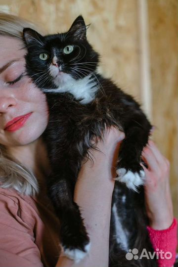 Малышка Асти ждёт вас в приюте