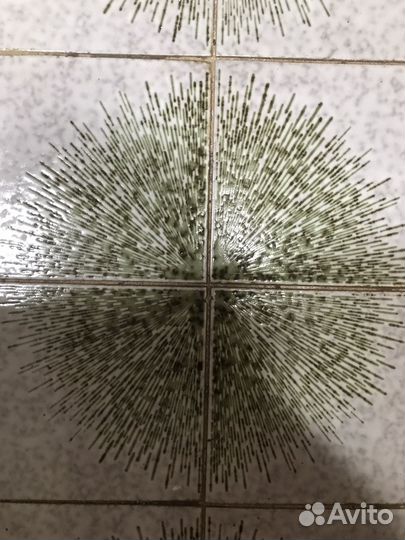 Керамическая плитка 20х20 и 20х10