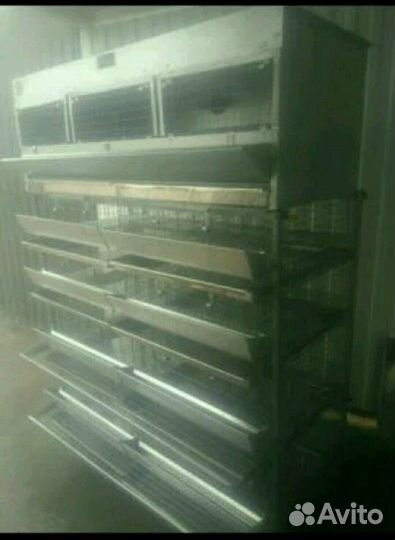 Клетка для перепелов Большая семья