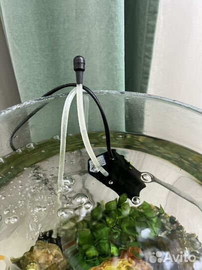 Аквариум с рыбками