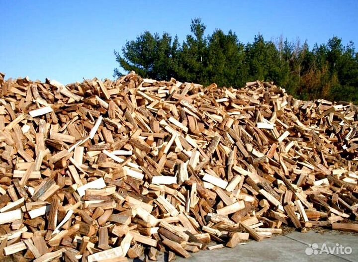 Дрова отборные