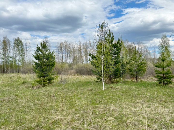 Участок 8,2 сот. (СНТ, ДНП)