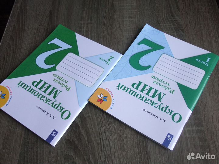 Плешаков Окружающий мир 2 класс Рабочая тетрадь