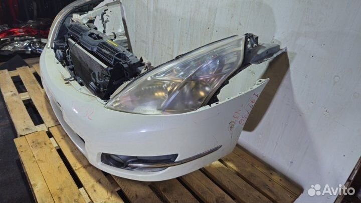 Ноускат nissan j32 teana (2008)