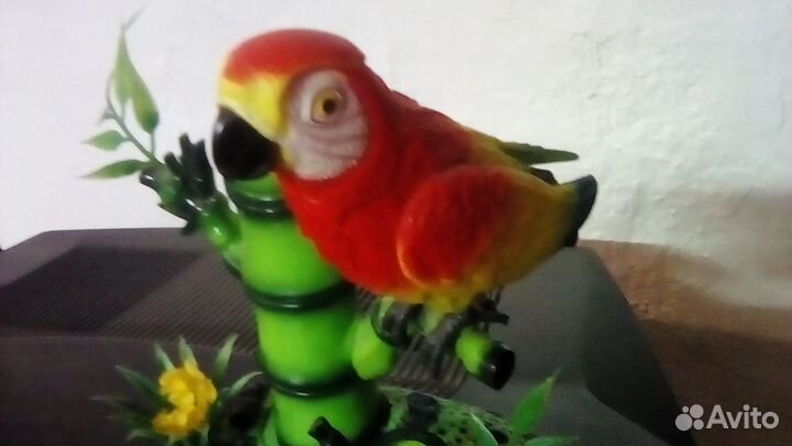 Попугай на ветке