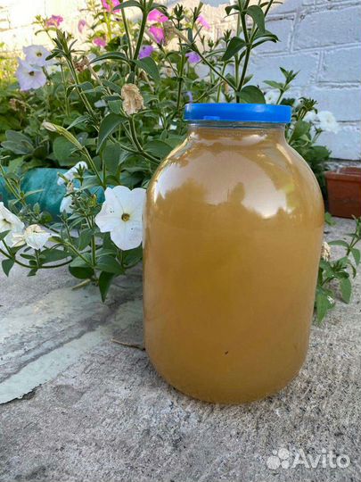 Мед 2023 Липа и акация с разнотравием