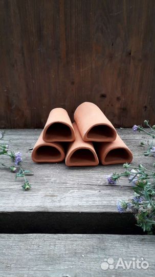 Аквариумные рыбки