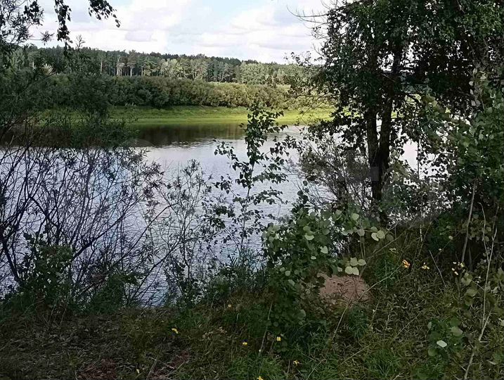 Участок 2,4 га (СНТ, ДНП)