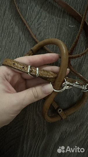 Шлейка с круглым сечением и поводок