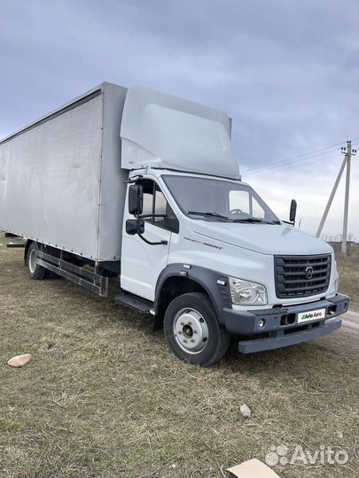 Газон 2022 год