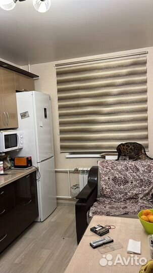 Жалюзи рулонные