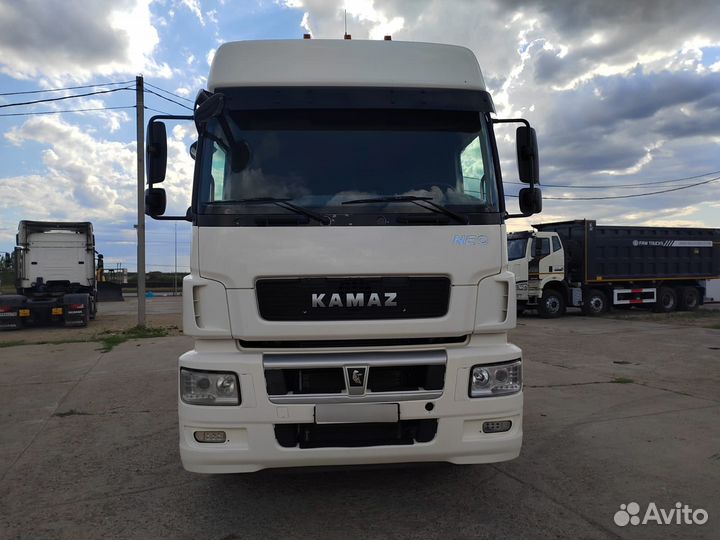 КамАЗ 5490 NEO, 2018