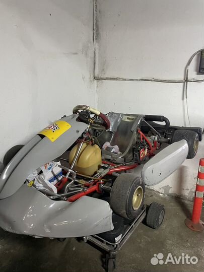 Rotax картинг