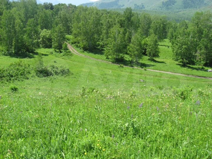 Участок 3,5 га (СНТ, ДНП)