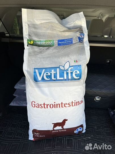 Корм для собак