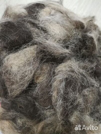 Шерсть немецкой овчарки