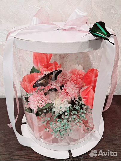 Живые бабочки, композиции с цветами